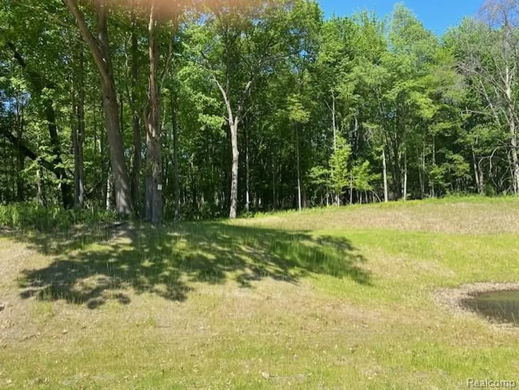 Lot 5 Dollar Ridge Lane Green Oak Township MI 48178