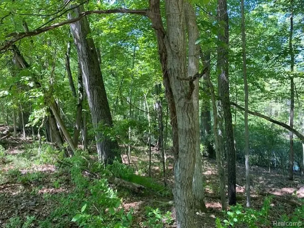 Lot 5 Dollar Ridge Lane Green Oak Township MI 48178