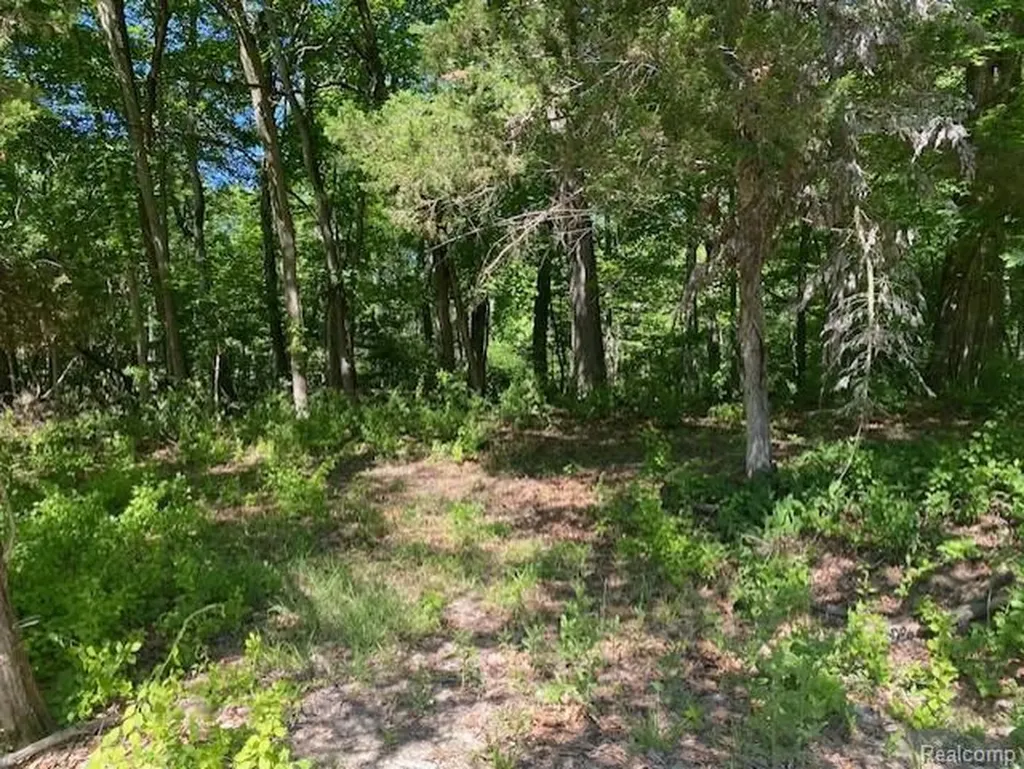 Lot 5 Dollar Ridge Lane Green Oak Township MI 48178