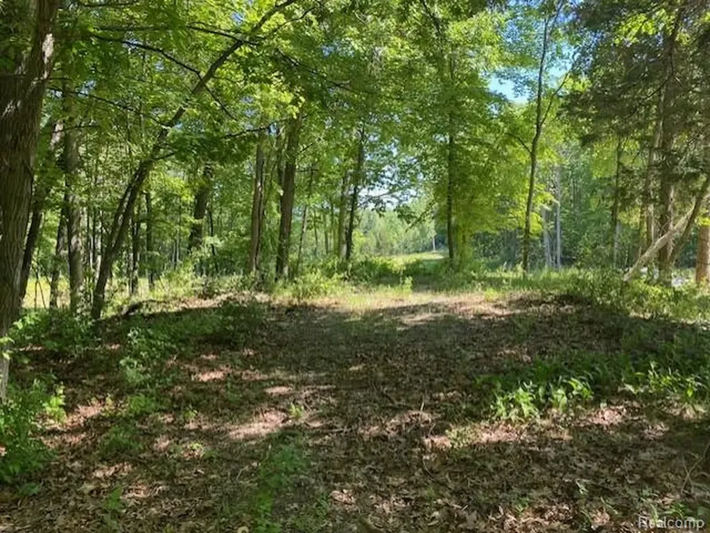 Lot 5 Dollar Ridge Lane Green Oak Township MI 48178