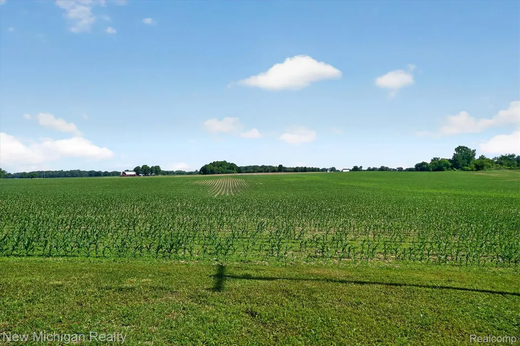 11374 Lahring Road Argentine Township MI 48418