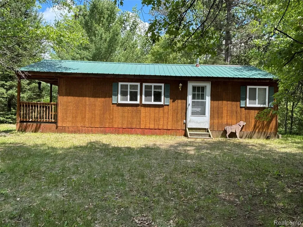 955 Aeronca Street Big Creek Township MI 48636