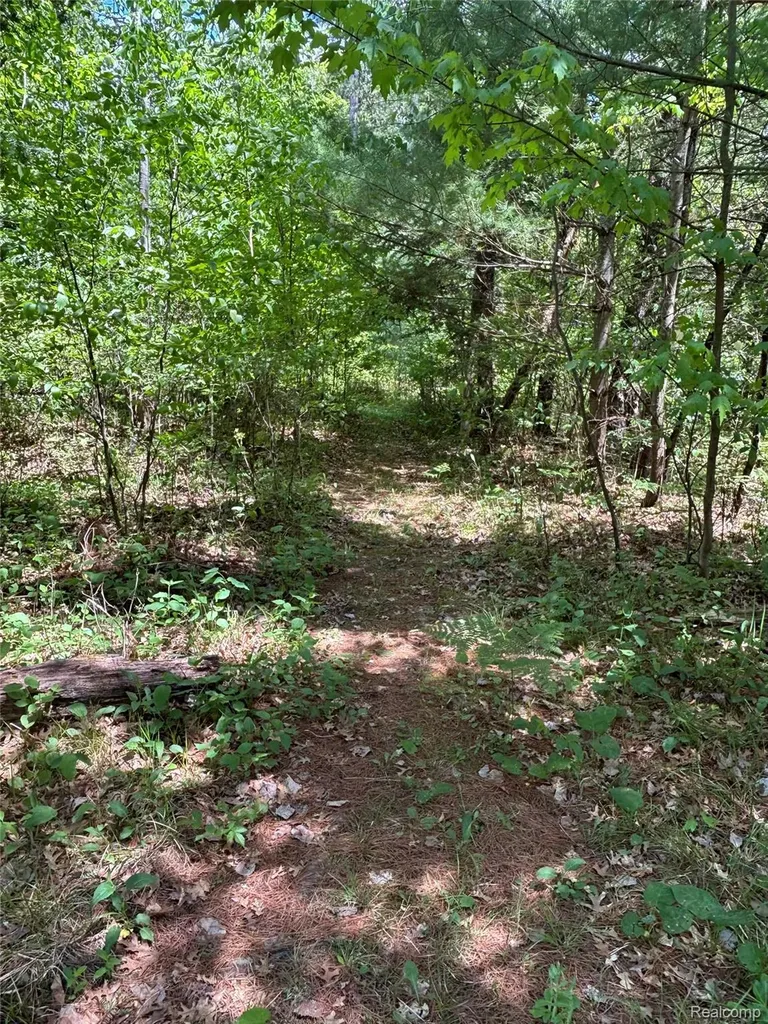 955 Aeronca Street Big Creek Township MI 48636