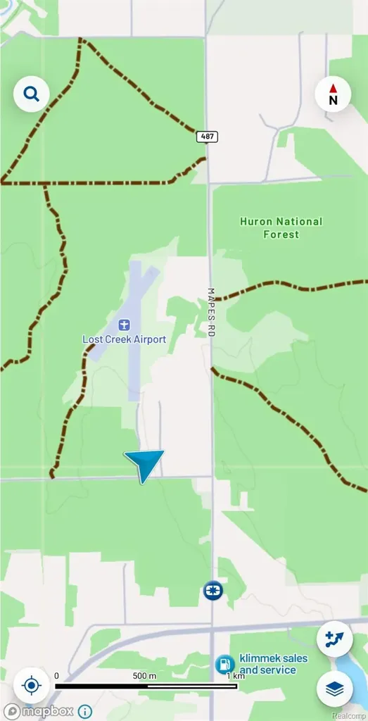 955 Aeronca Street Big Creek Township MI 48636