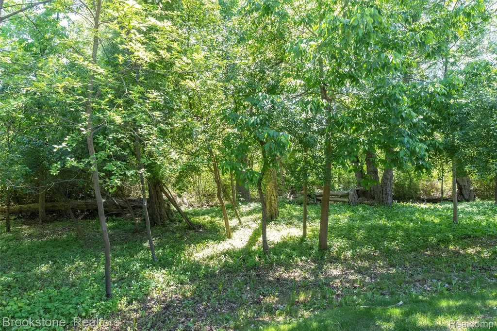 10295 Northridge Court White Lake Charter Township MI 48386
