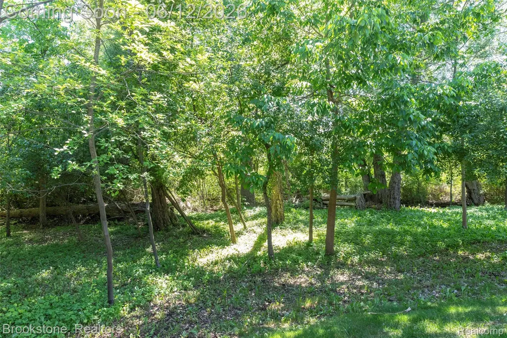 10295 Northridge Court White Lake Charter Township MI 48386