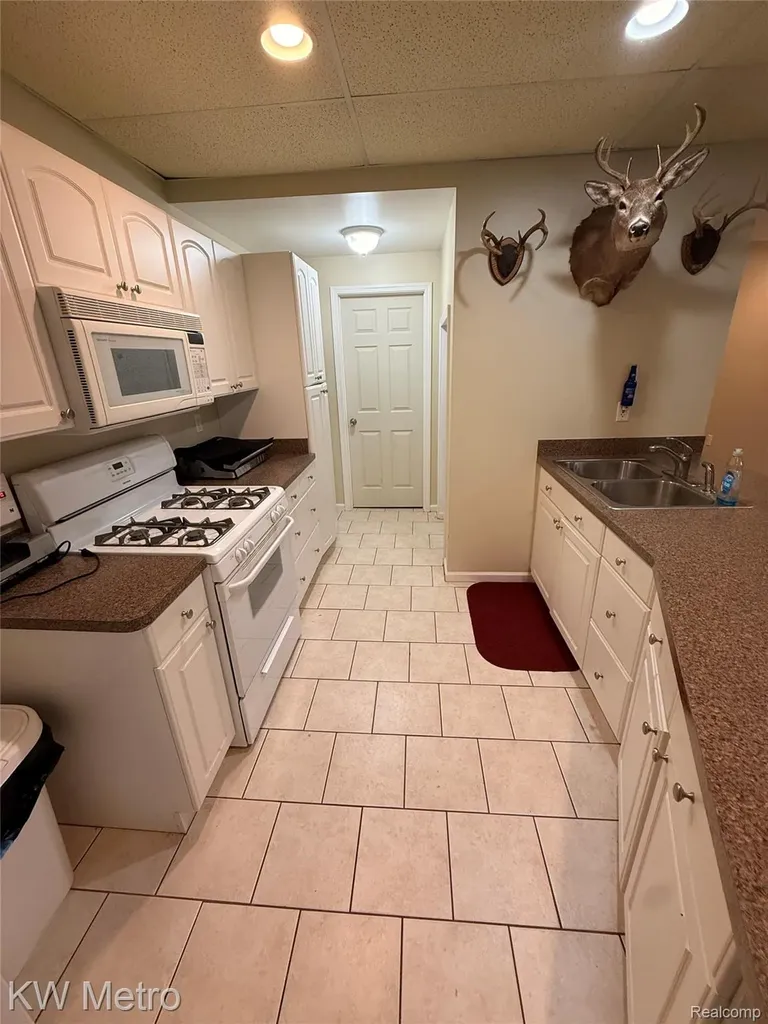 655 Sherry Drive Orion Charter Township MI 48362