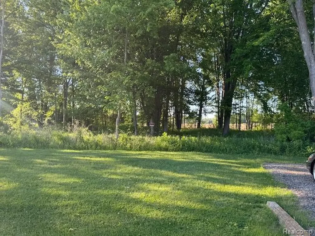 9972 Dixie Highway Ira Township MI 48023