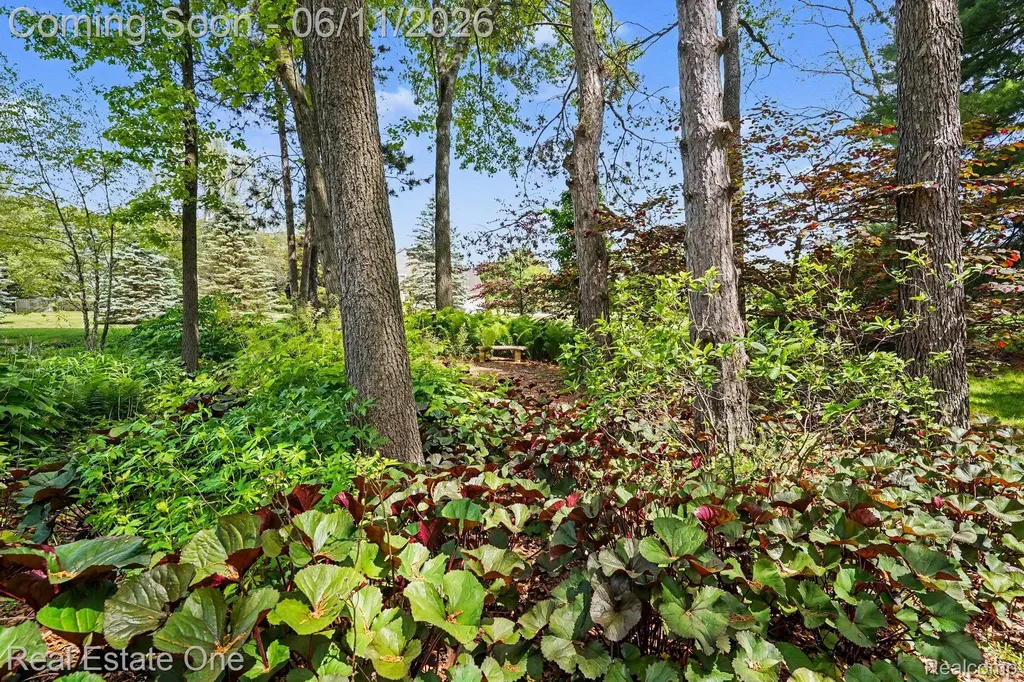 2958 Pine Needle Drive White Lake Charter Township MI 48383