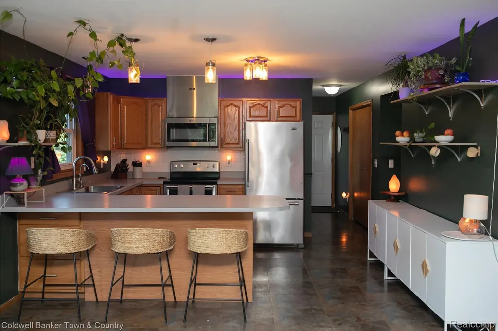 717 N Youngs Road Attica Township MI 48412
