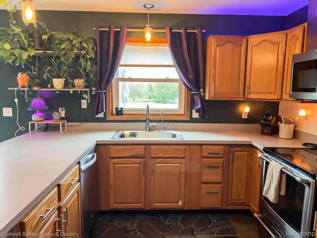 717 N Youngs Road Attica Township MI 48412