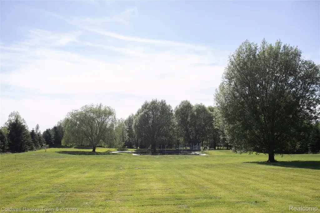 717 N Youngs Road Attica Township MI 48412