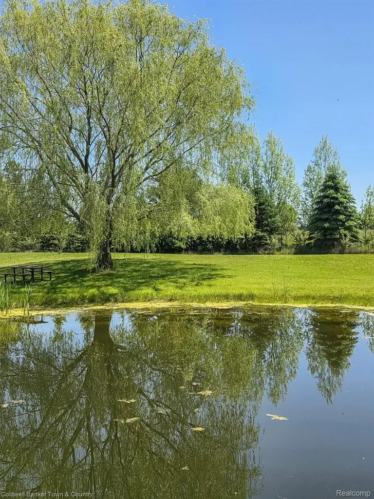 717 N Youngs Road Attica Township MI 48412