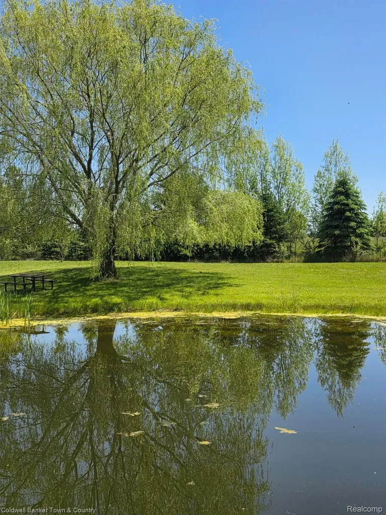717 N Youngs Road Attica Township MI 48412