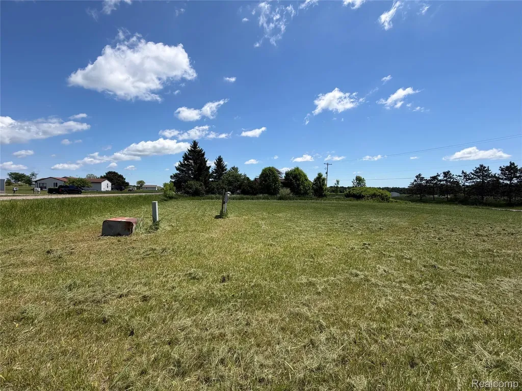 1431 Preston Drive Butman Township MI 48624