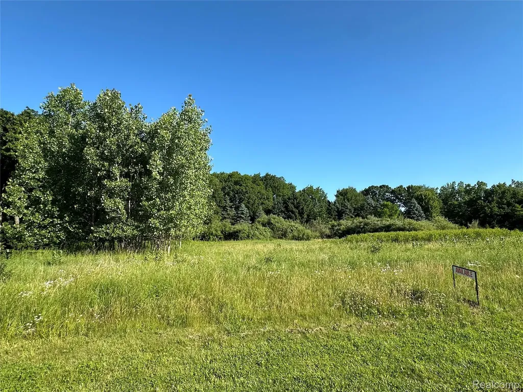 68 Donegal Court Tyrone Township MI 48430