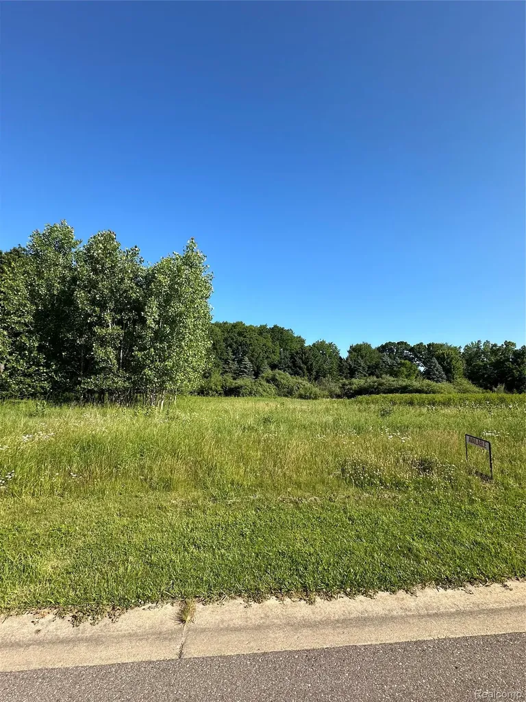 68 Donegal Court Tyrone Township MI 48430