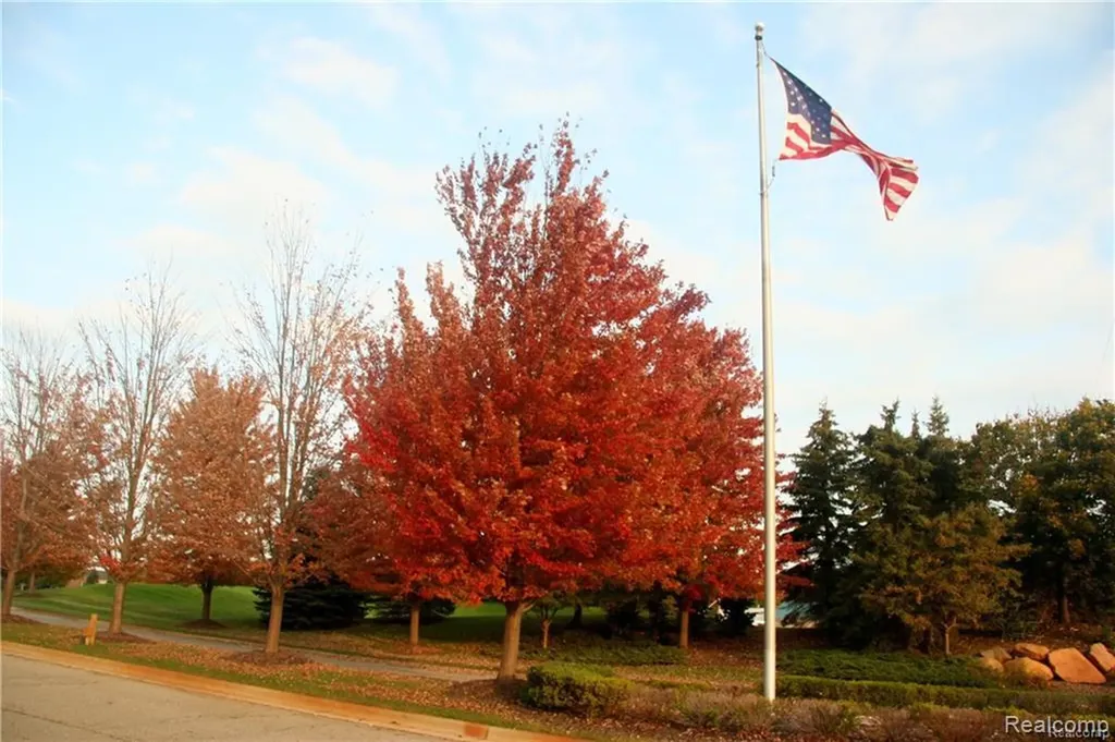 20 Tipperary Trail Tyrone Township MI 48430