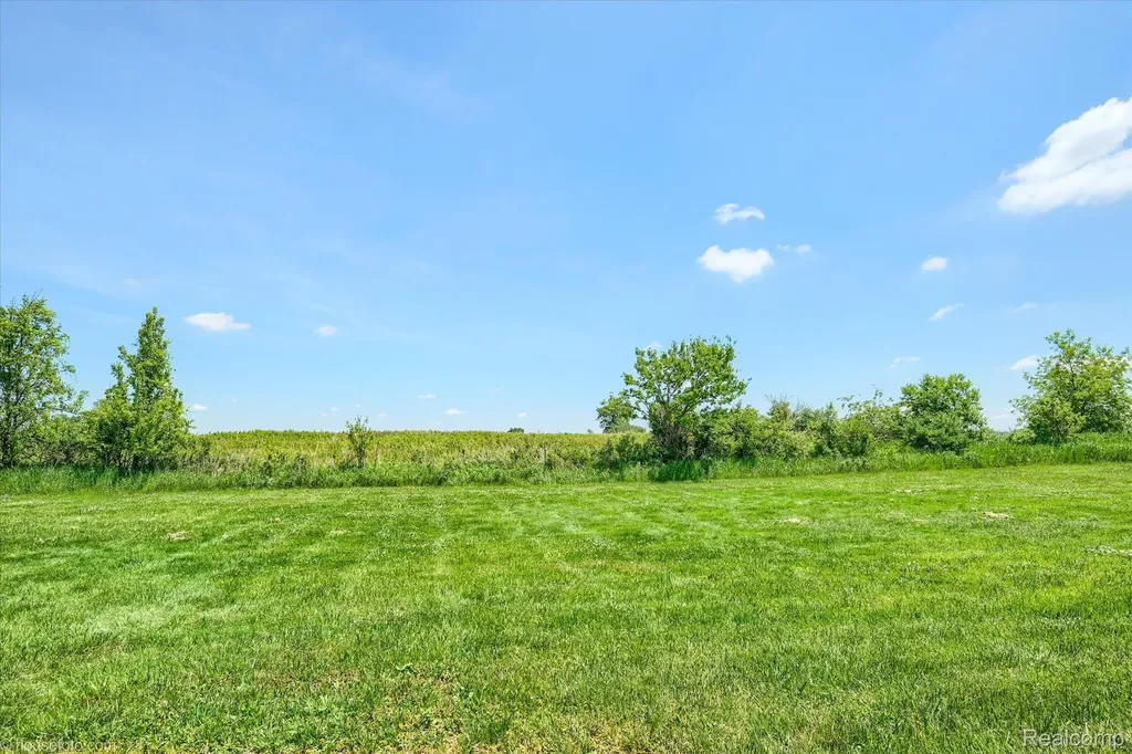 3909 S Van Dyke Road Marlette City MI 48453
