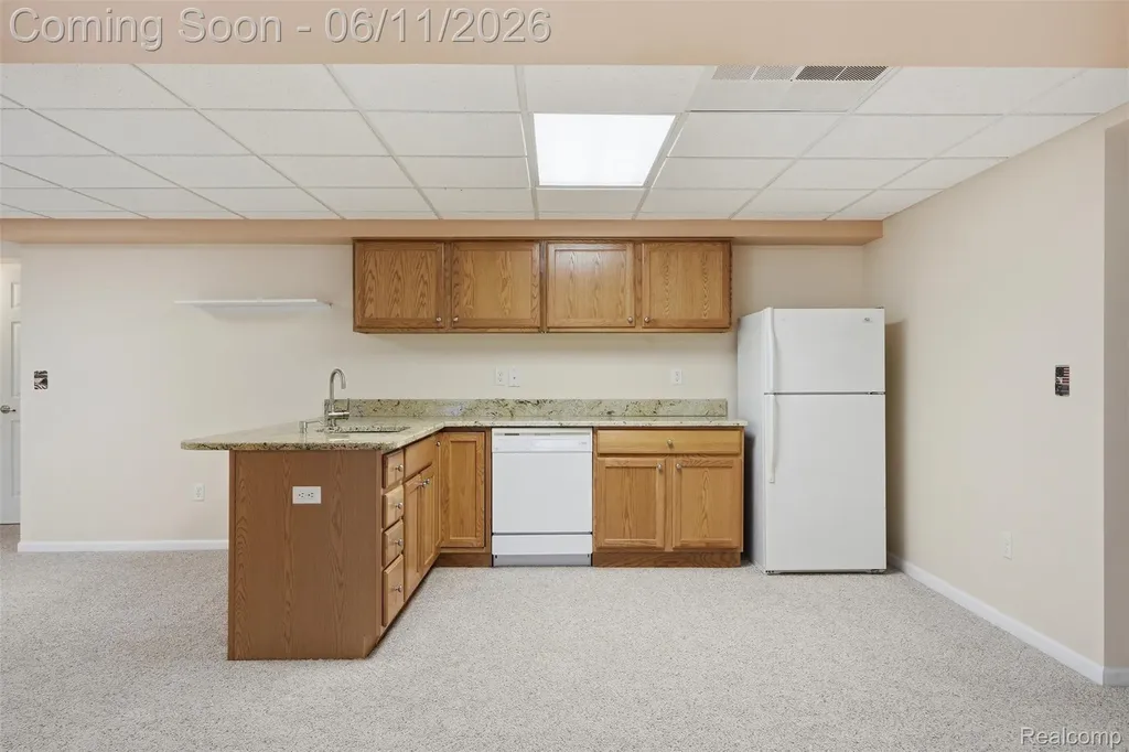 28101 Tremonte Drive Lyon Charter Township MI 48165