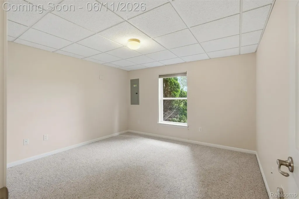 28101 Tremonte Drive Lyon Charter Township MI 48165