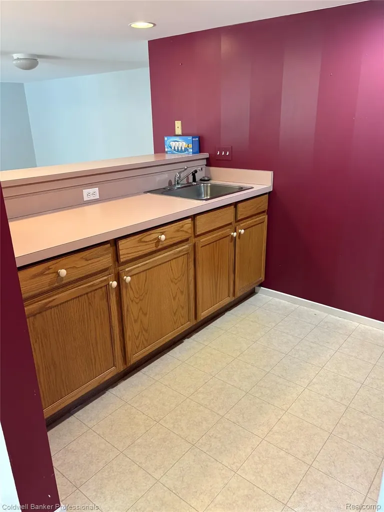 9533 Overlook Court Mundy Township MI 48439