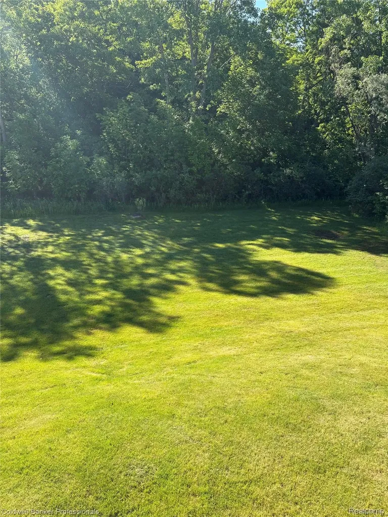 9533 Overlook Court Mundy Township MI 48439