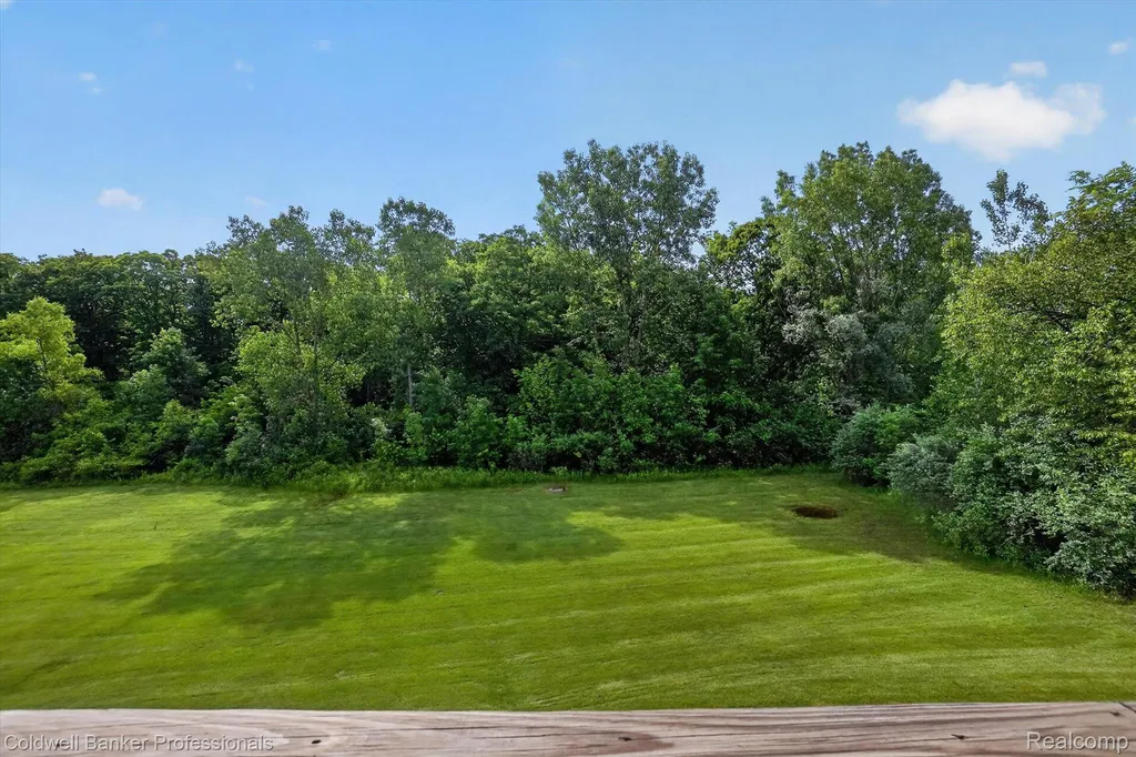 9533 Overlook Court Mundy Township MI 48439