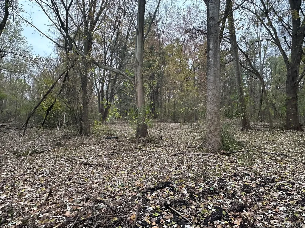 7380 Southfield Drive Shelby Charter Township MI 48316