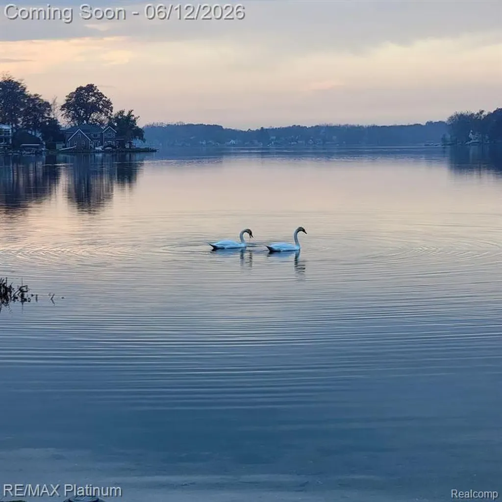 1612 S Hughes Road Genoa Township MI 48114