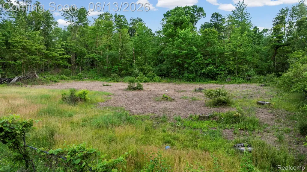 51105 Arkona Road Sumpter Township MI 48111