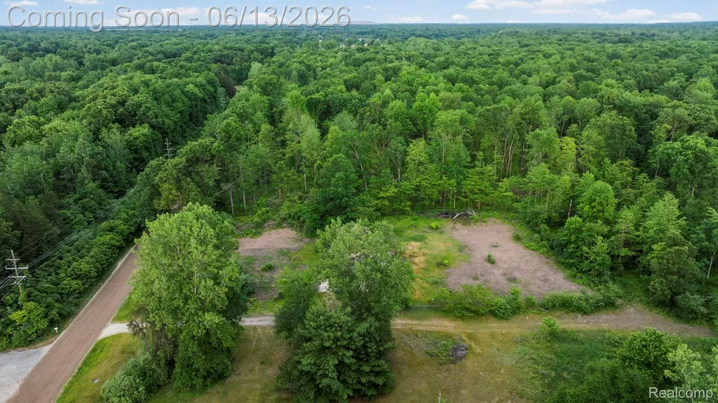 51105 Arkona Road Sumpter Township MI 48111