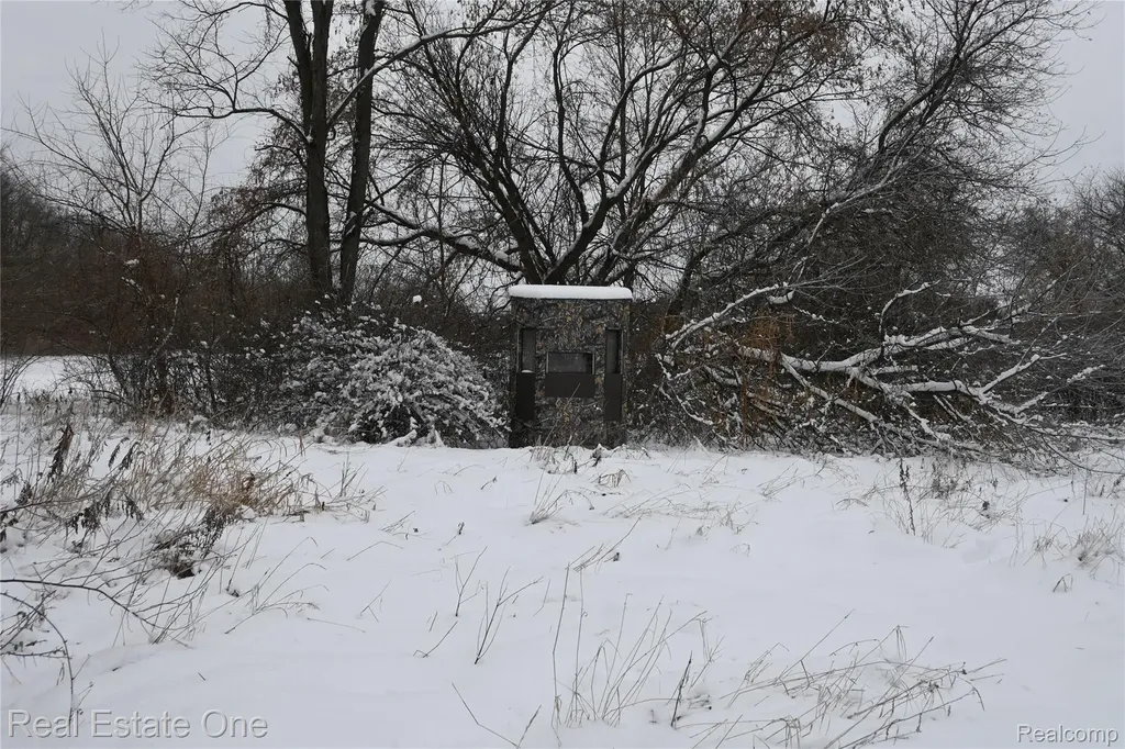 0000 Roberts Drive Henrietta Township MI 49259