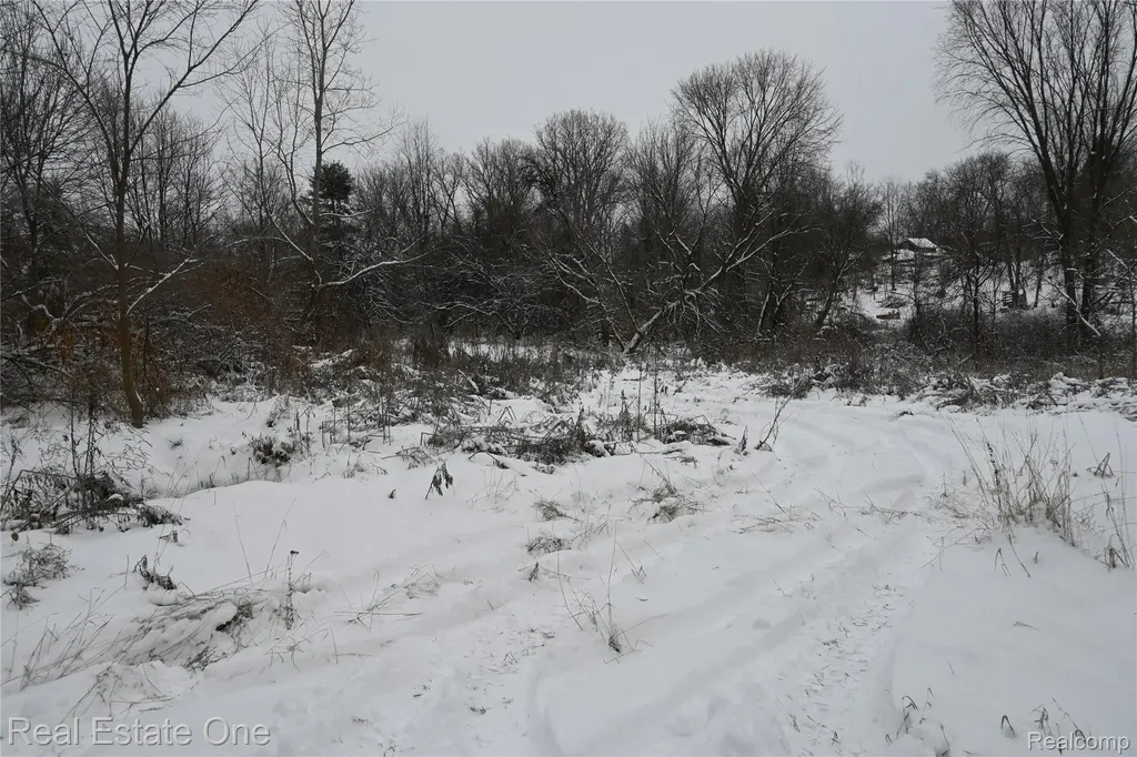 0000 Roberts Drive Henrietta Township MI 49259