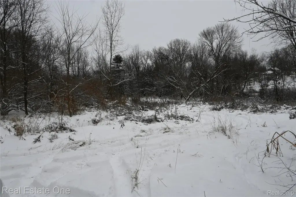 0000 Roberts Drive Henrietta Township MI 49259