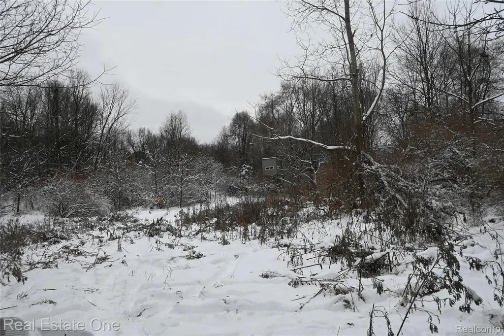 0000 Roberts Drive Henrietta Township MI 49259