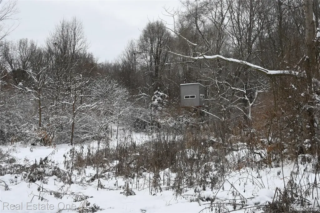 0000 Roberts Drive Henrietta Township MI 49259