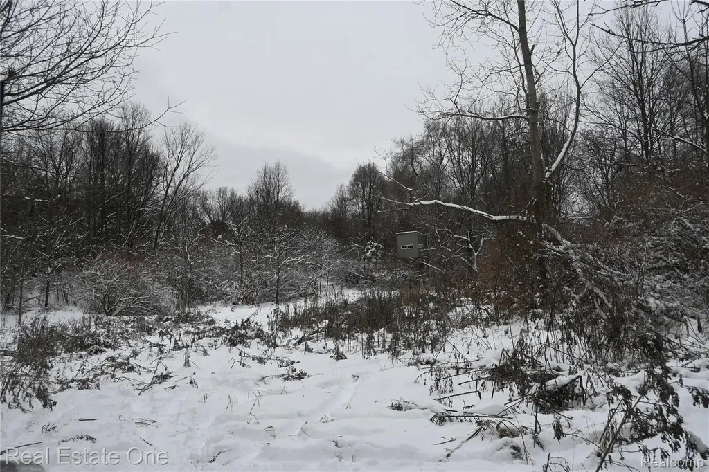 0000 Roberts Drive Henrietta Township MI 49259