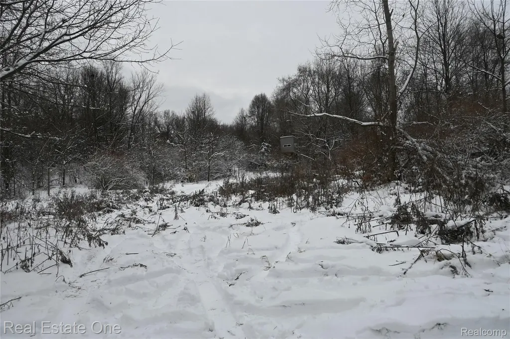 0000 Roberts Drive Henrietta Township MI 49259