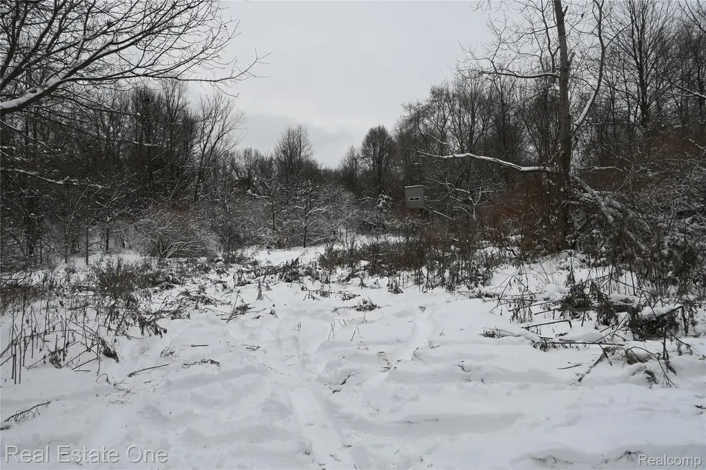 0000 Roberts Drive Henrietta Township MI 49259