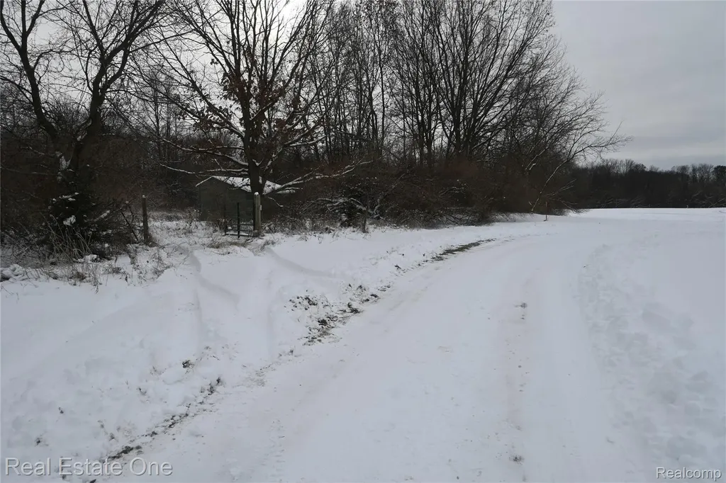 0000 Roberts Drive Henrietta Township MI 49259