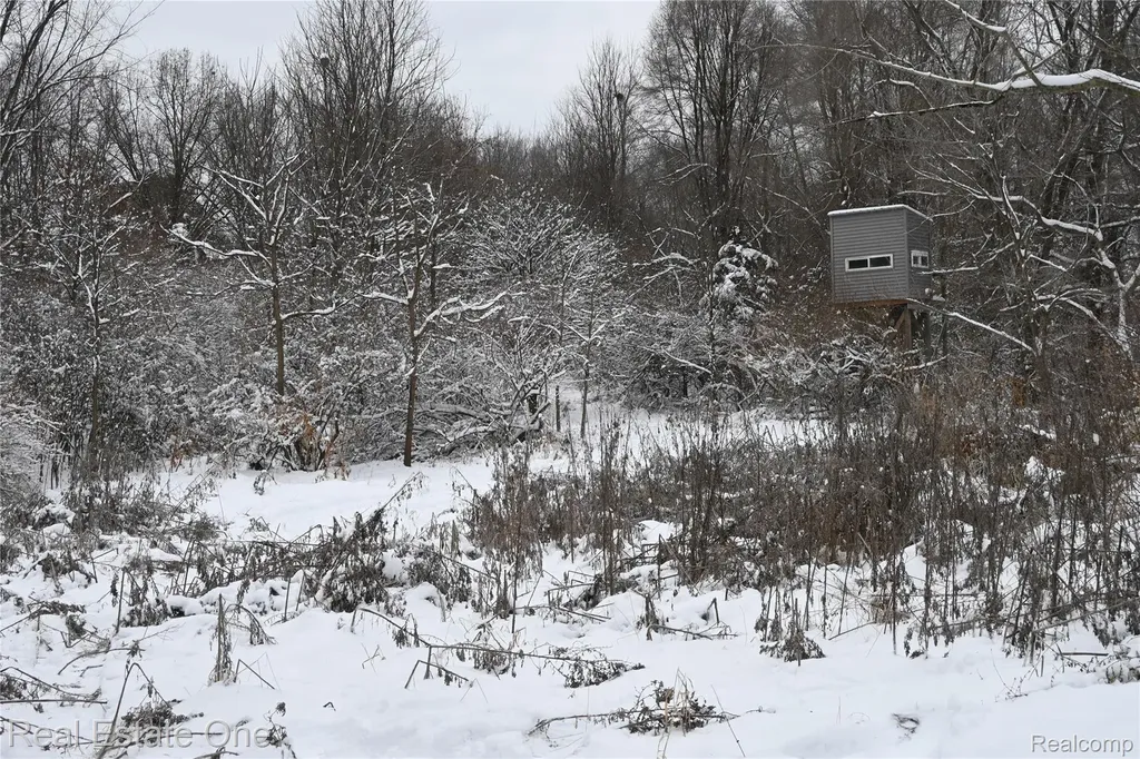 0000 Roberts Drive Henrietta Township MI 49259