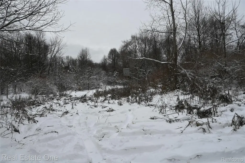 0000 Roberts Drive Henrietta Township MI 49259