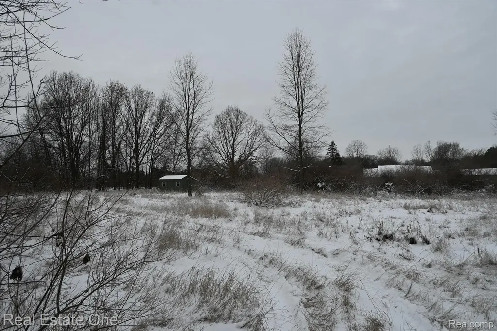 0000 Roberts Drive Henrietta Township MI 49259
