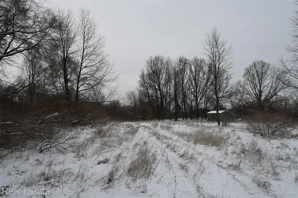 0000 Roberts Drive Henrietta Township MI 49259