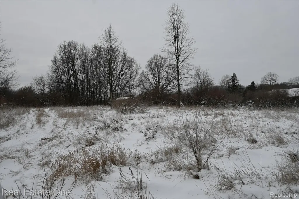 0000 Roberts Drive Henrietta Township MI 49259