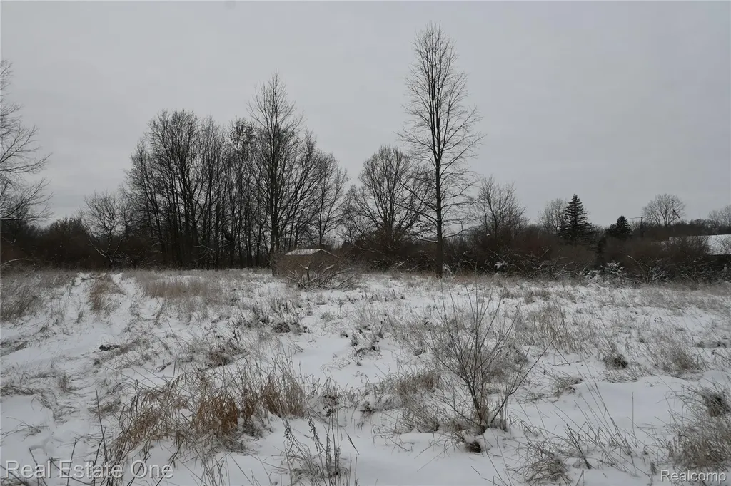 0000 Roberts Drive Henrietta Township MI 49259
