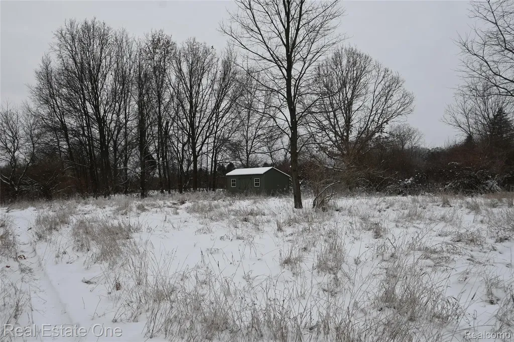 0000 Roberts Drive Henrietta Township MI 49259
