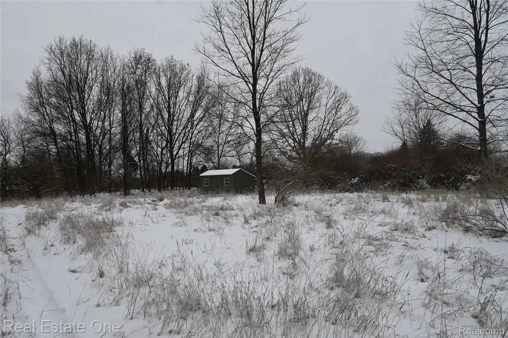 0000 Roberts Drive Henrietta Township MI 49259