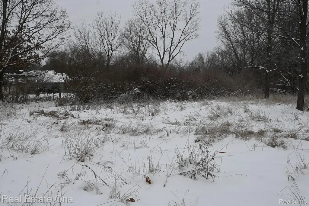 0000 Roberts Drive Henrietta Township MI 49259